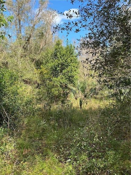 Undeveloped Land for sale in Volusia County, Florida