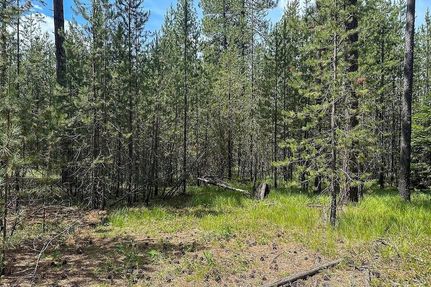 Undeveloped Land for sale in Stevens County, Washington