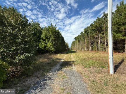 Undeveloped Land for sale in Wicomico County, Maryland