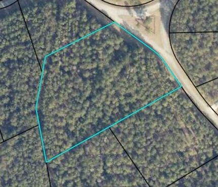 Undeveloped Land for sale in Lincoln County, Georgia