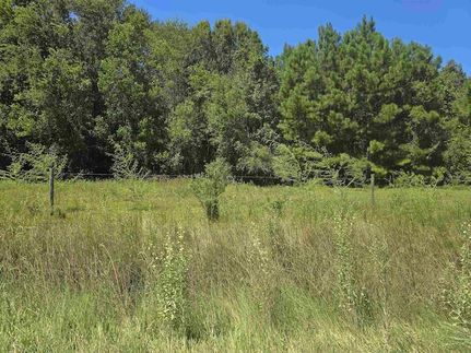 Undeveloped Land for sale in Jefferson County, Texas