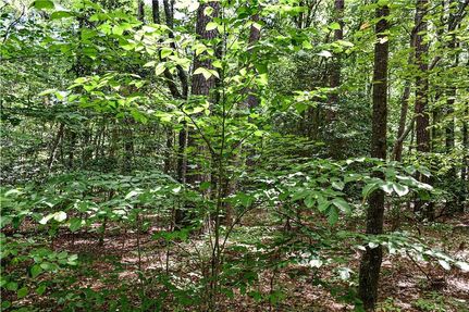 Land for sale in Gloucester County, Virginia