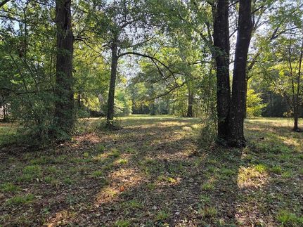 Undeveloped Land for sale in Angelina County, Texas