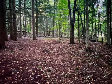 Undeveloped Land for sale in Franklin County, Vermont