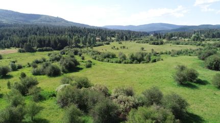 Farm and Ranch for sale in Benewah County, Idaho