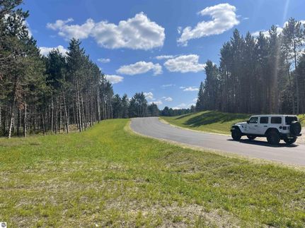 Undeveloped Land for sale in Kalkaska County, Michigan