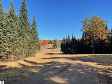 Undeveloped Land for sale in Kalkaska County, Michigan
