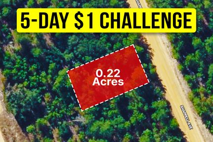 Undeveloped Land for sale in Putnam County, Florida