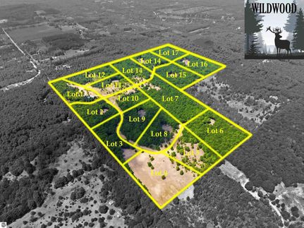 Undeveloped Land for sale in Kalkaska County, Michigan
