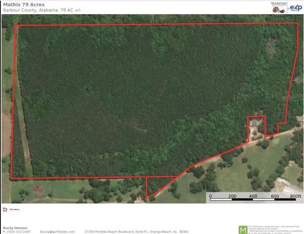 Undeveloped Land for sale in Barbour County, Alabama