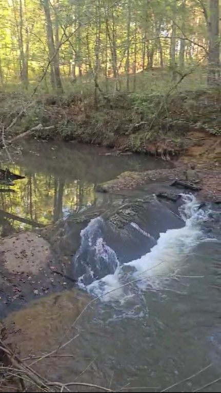 Undeveloped Land for sale in Monroe County, Georgia