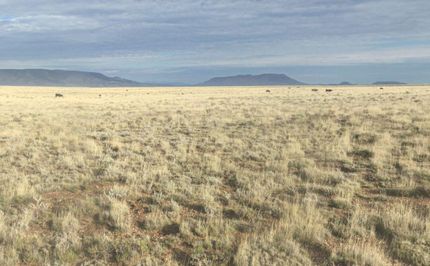 Farm and Ranch for sale in Costilla County, Colorado