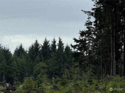 Undeveloped Land for sale in Grays Harbor County, Washington