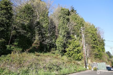 Undeveloped Land for sale in Grays Harbor County, Washington