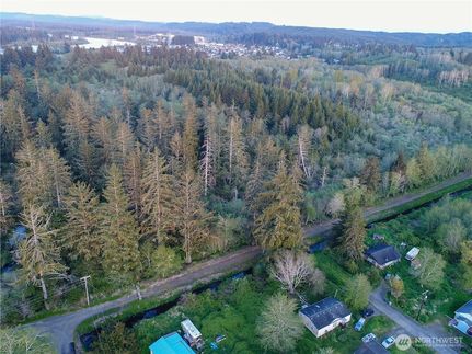Undeveloped Land for sale in Grays Harbor County, Washington