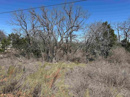 Undeveloped Land for sale in Llano County, Texas