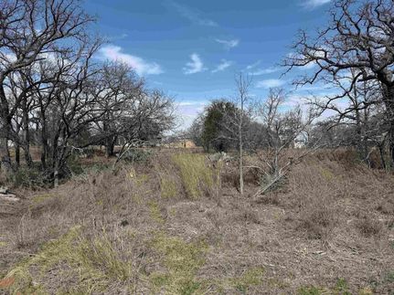 Undeveloped Land for sale in Llano County, Texas