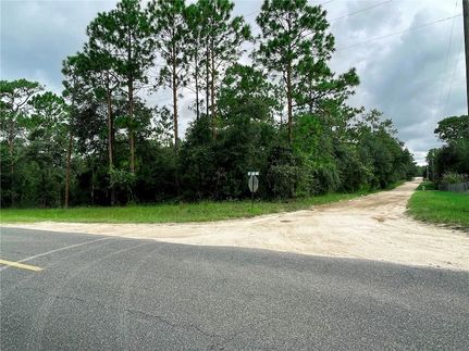 Undeveloped Land for sale in Levy County, Florida