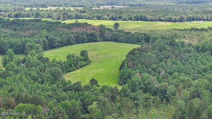 Undeveloped Land for sale in Simpson County, Mississippi