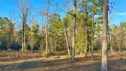 Undeveloped Land for sale in Sabine County, Texas