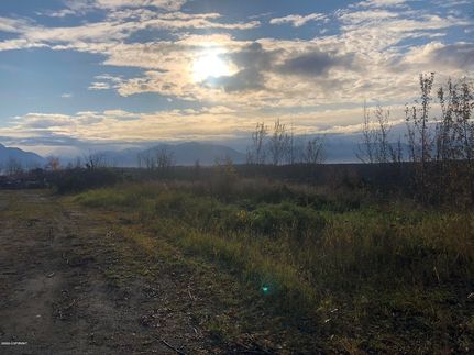 Undeveloped Land for sale in Matanuska-Susitna Borough, Alaska