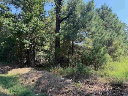 Undeveloped Land for sale in Clark County, Arkansas