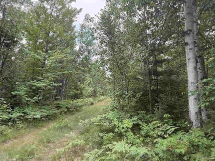 Farm and Ranch for sale in Iron County, Michigan