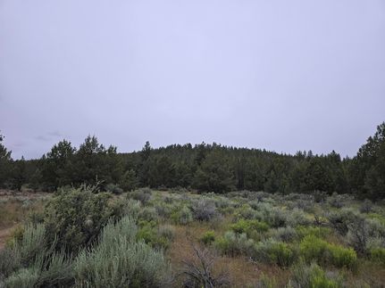 Undeveloped Land for sale in Klamath County, Oregon