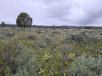 Undeveloped Land for sale in Klamath County, Oregon