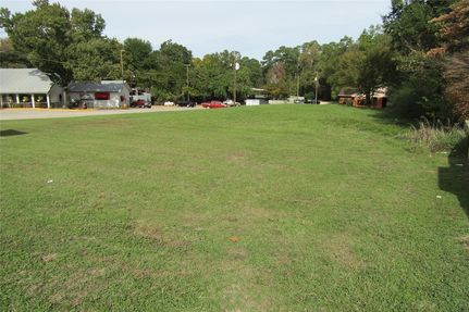 Undeveloped Land for sale in Polk County, Texas
