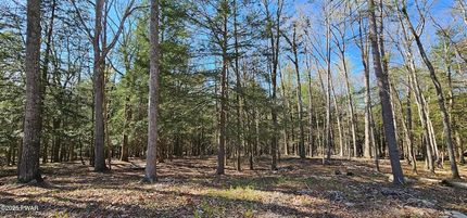 Undeveloped Land for sale in Sullivan County, New York