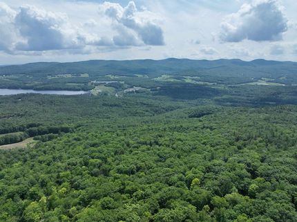 Undeveloped Land for sale in Caledonia County, Vermont