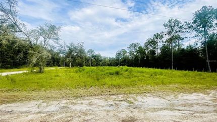 Undeveloped Land for sale in Levy County, Florida
