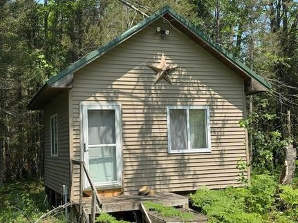 Undeveloped Land for sale in Cheboygan County, Michigan