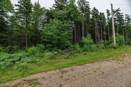 Undeveloped Land for sale in Washington County, Maine