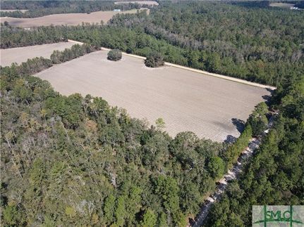 Timberland Property for sale in Bryan County, Georgia