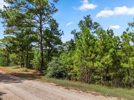 Undeveloped Land for sale in Bastrop County, Texas