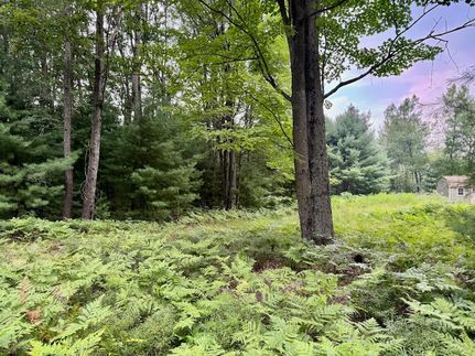 Horse Property for sale in Mecosta County, Michigan