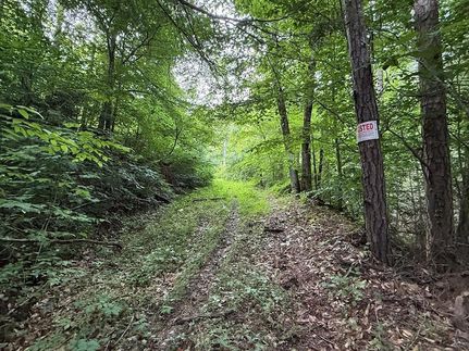 Undeveloped Land for sale in Perry County, Kentucky