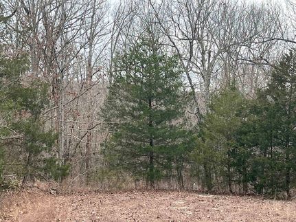 Undeveloped Land for sale in Fulton County, Arkansas