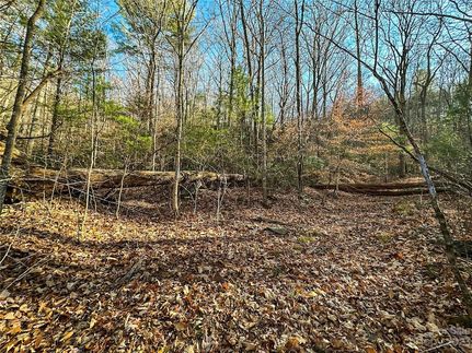 Farm and Ranch for sale in Buncombe County, North Carolina