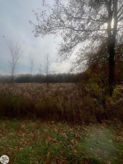 Recreational Property for sale in Saint Clair County, Michigan