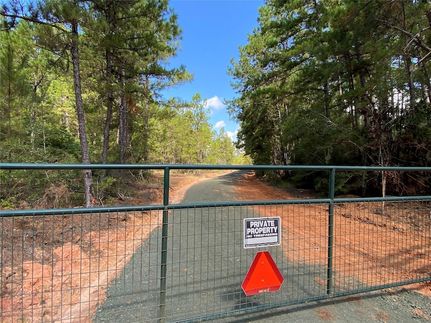 Undeveloped Land for sale in Tyler County, Texas