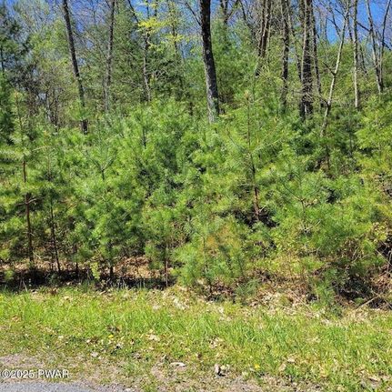Undeveloped Land for sale in Pike County, Pennsylvania