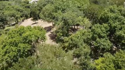 Undeveloped Land for sale in Bell County, Texas