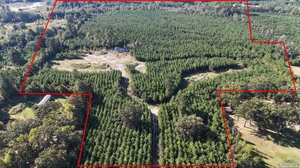 Undeveloped Land for sale in Marion County, Texas