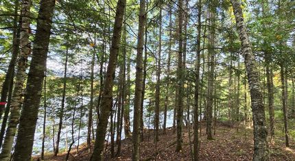 Hunting Property for sale in Vilas County, Wisconsin
