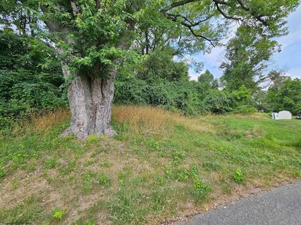 Land for sale in Taylor County, West Virginia