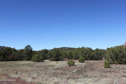 Farm and Ranch for sale in Apache County, Arizona