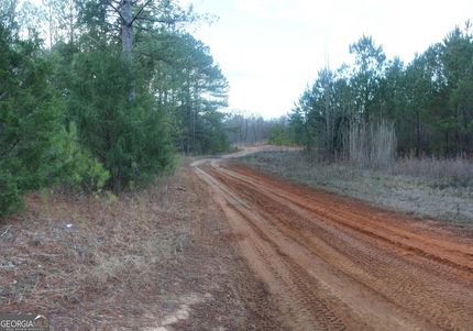 Undeveloped Land for sale in Troup County, Georgia